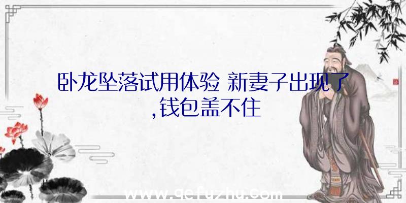 卧龙坠落试用体验